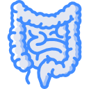 Serie Esofagogastroduodenal: