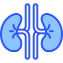 Cistouretrografía / Uretrocistograma Miccional